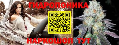 метадон Кингисепп