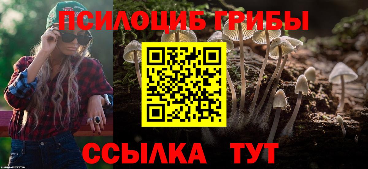 Галлюциногенные грибы мицелий  Вход с VPN  Жигулёвск 