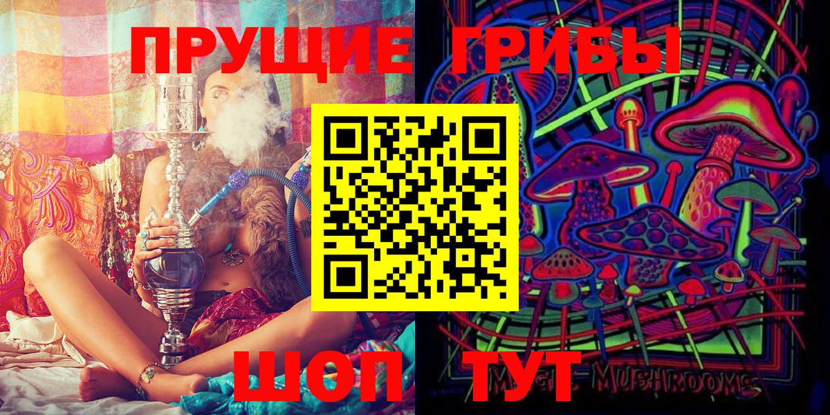 Псилоцибиновые грибы Psilocybine cubensis Жигулёвск